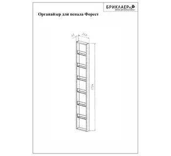 Органайзер для пенала Бриклаер Форест дуб золотой